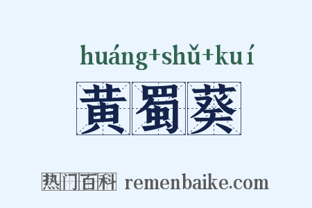 黄蜀葵是什么意思的图片